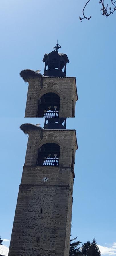 Bizev Hotel Banszko Kültér fotó